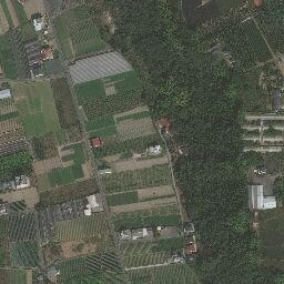 Satellite imagery of 三等三角點 259, TW