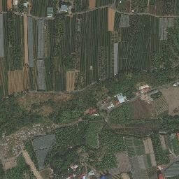 Satellite imagery of 三等三角點 259, TW