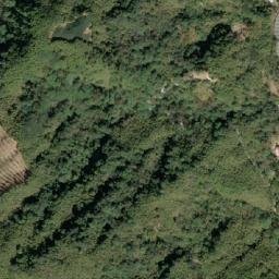 Satellite imagery of 台大國有林界 458, TW