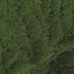 Satellite imagery of 官有林界標 173, TW