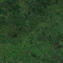 Satellite imagery of 三等三角點 784, TW