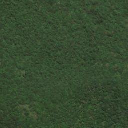 Satellite imagery of 二等三角點 1217, TW