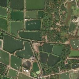 Satellite imagery of 三等三角點 319, TW