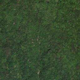 Satellite imagery of 三等三角點 772, TW