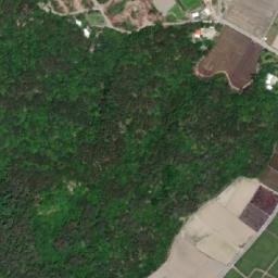 Satellite imagery of 三等三角點 772, TW