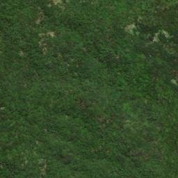 Satellite imagery of 三等三角點 779, TW