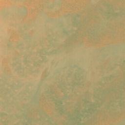 Satellite imagery of Lecleiuat, EH