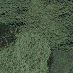 Satellite imagery of 農路1.9K, TW