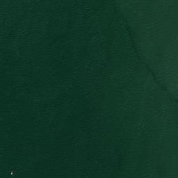 Satellite imagery of Pearl River Powerline Crossing, Tower East, CN
