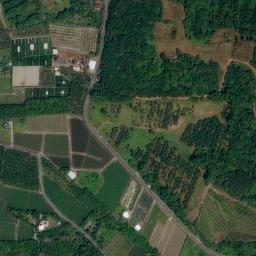 Satellite imagery of 三等三角點 544, TW