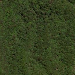 Satellite imagery of 三等三角點 7098, TW