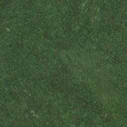 Satellite imagery of 一等三角點 由(31), TW