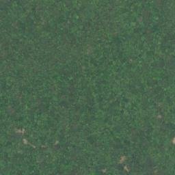 Satellite imagery of 三等三角點 981, TW