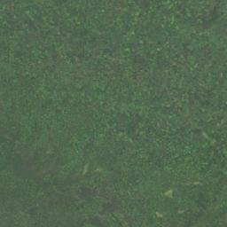 Satellite imagery of 三等三角點 954, TW