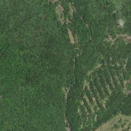 Satellite imagery of 一等三角點 由(32), TW