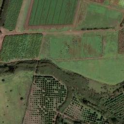 Satellite imagery of SOH 88 — NGS DR2161, US