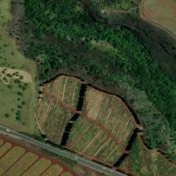 Satellite imagery of SOH 81 — NGS DR2152 — Honolulu County, US, US