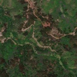 Satellite imagery of TREE — NGS TU1574, US