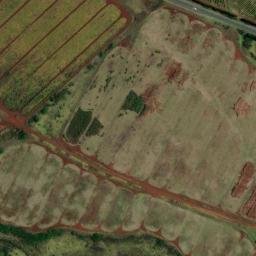 Satellite imagery of SOH 81 — NGS DR2152 — Honolulu County, US, US