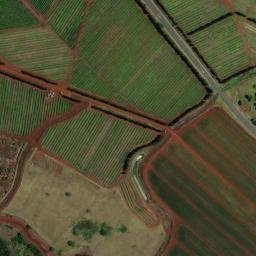 Satellite imagery of O REILLY 2 — NGS TU1516 — Honolulu County, US, US