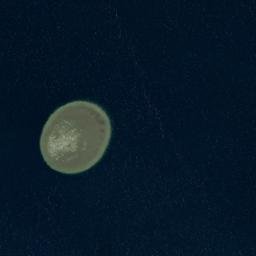 Satellite imagery of Kalaeaalakihi, US