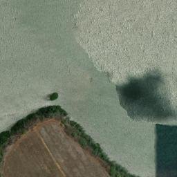 Satellite imagery of Nichols Point, US