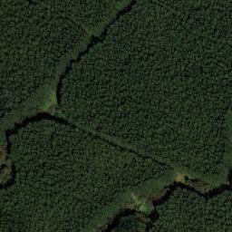 Satellite imagery of PUU MAUU NORTH RESET=1629 — NGS TU2677 — Hawaiʻi County, US, US