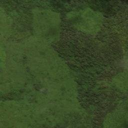 Satellite imagery of San Phalai, LA