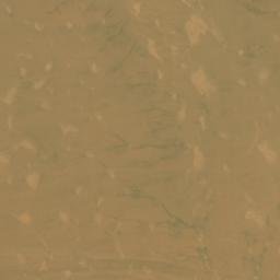 Satellite imagery of Terist, DZ