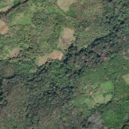Satellite imagery of Alogob Point, PH