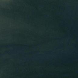 Satellite imagery of Harvey Patches, IN