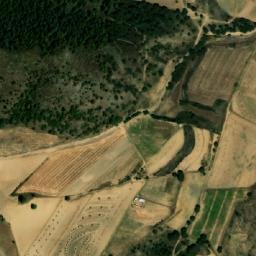 Satellite imagery of Aholo, MX