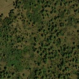 Satellite imagery of Volcán Pajonal, MX