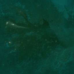 Satellite imagery of Tree Rock, MM