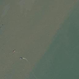 Satellite imagery of Dolphin Rock, IN