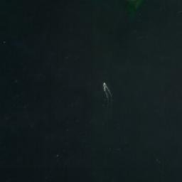 Satellite imagery of SABA 1918 — NGS TV0558 — Saint Thomas - Saint John District, US, US