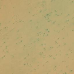 Satellite imagery of Gleïtet Eïzzene, MR
