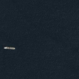 Satellite imagery of Petambu Point, PH