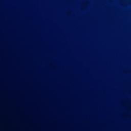 Satellite imagery of Salibongot Point, PH