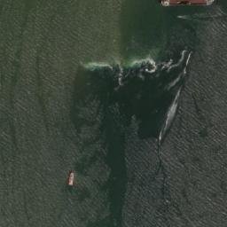 Satellite imagery of Lamao Point, PH