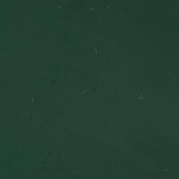 Satellite imagery of Talim Point, PH