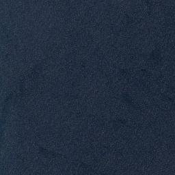 Satellite imagery of Saley Point, PH