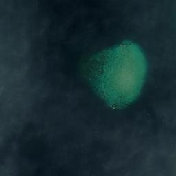 Satellite imagery of Roma Point, PH