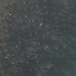 Satellite imagery of Laguimanoc Point, PH