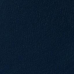 Satellite imagery of Sagnay Point, PH