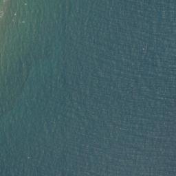 Satellite imagery of Coxon Point, IN