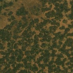 Satellite imagery of Adakaka Ridge, NG