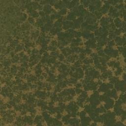 Satellite imagery of Damana Ridge, NG