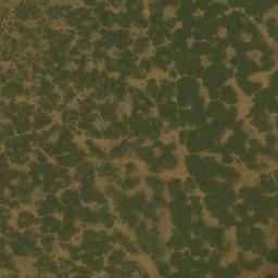 Satellite imagery of Damana Ridge, NG