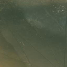 Satellite imagery of Punta Médano Blanco, VE